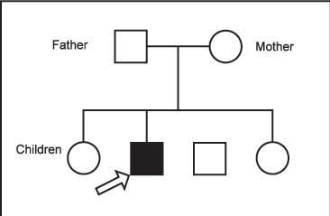 figure_1.jpg